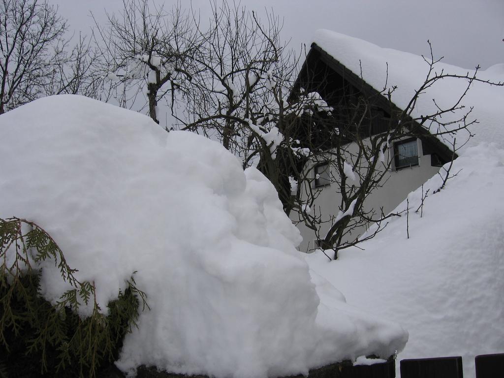 Nasa Hisa Apartment Bohinj Cameră foto