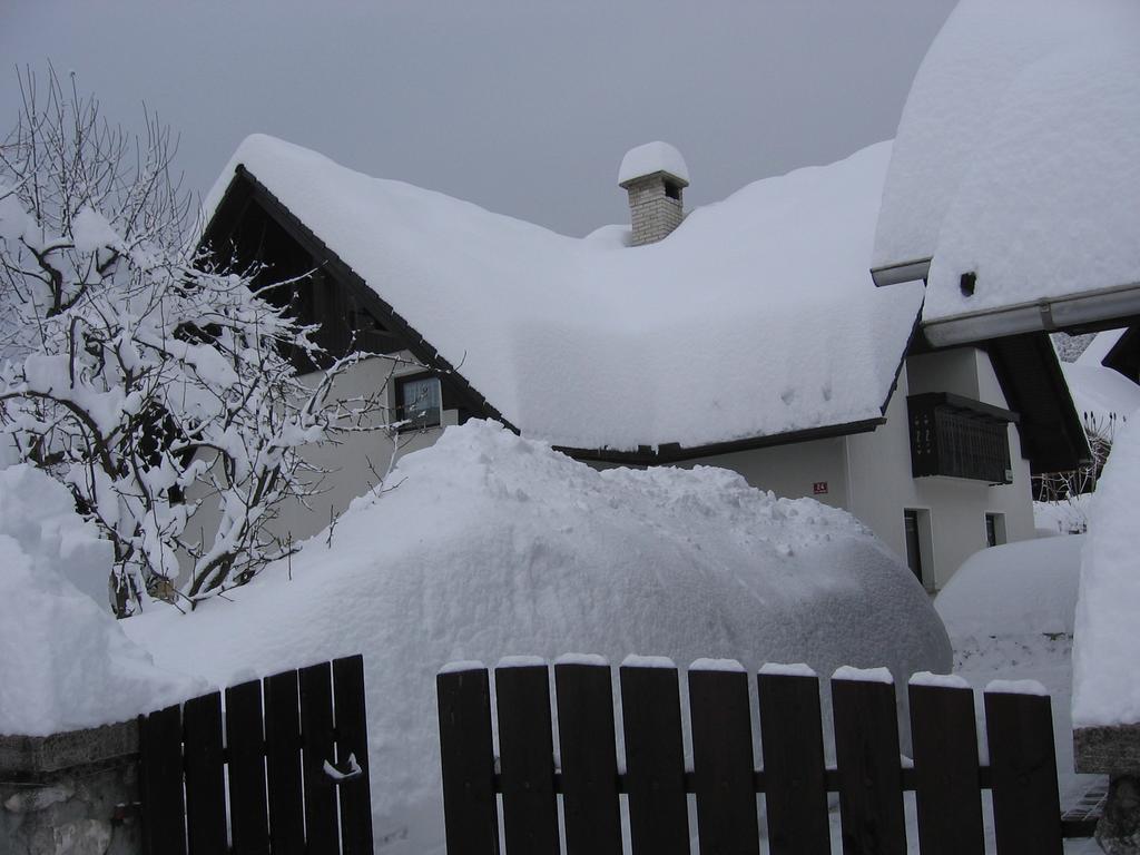 Nasa Hisa Apartment Bohinj Cameră foto