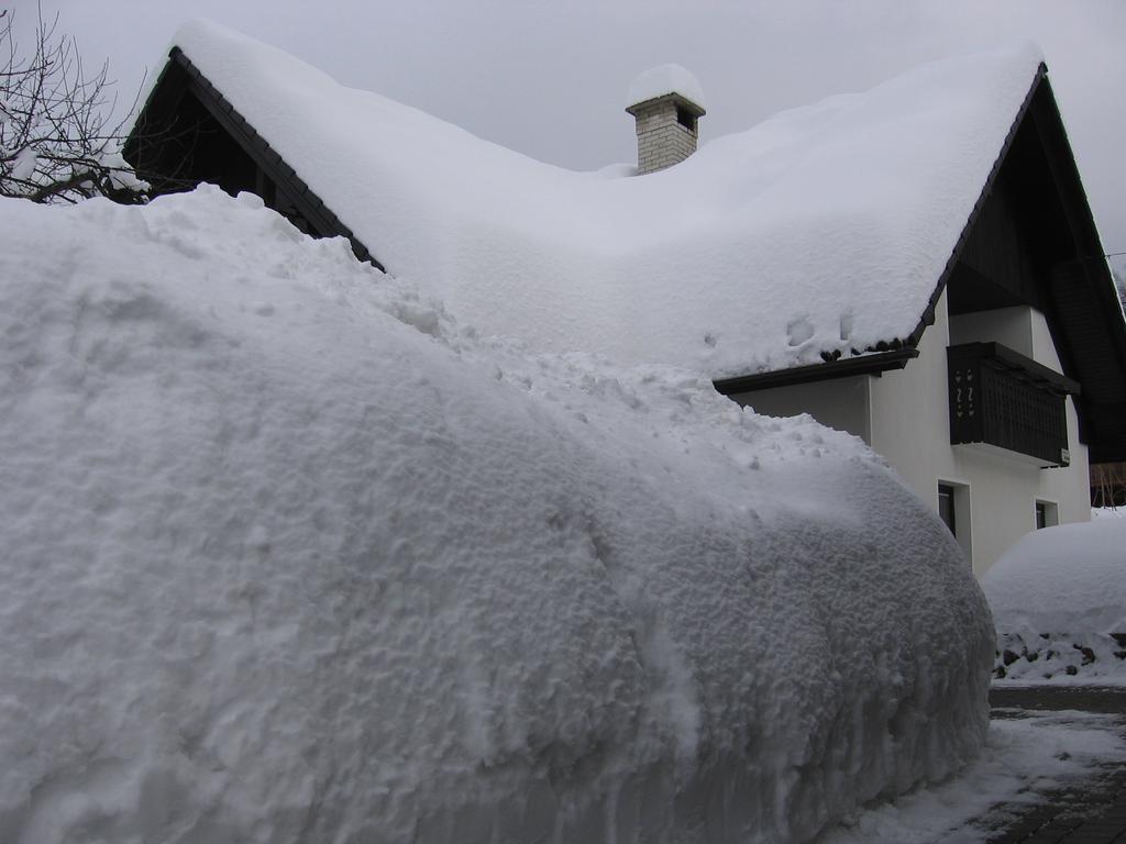 Nasa Hisa Apartment Bohinj Cameră foto